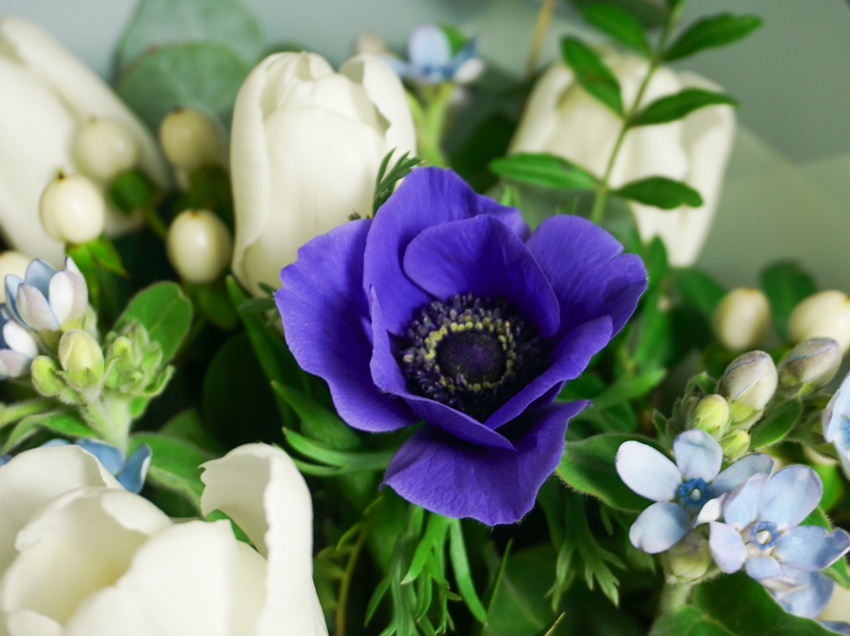 Bouquet of flowers | 66 |