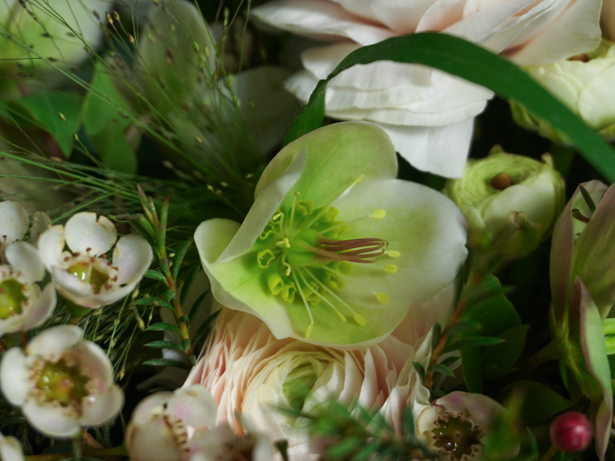 Bouquet of flowers | 67 |