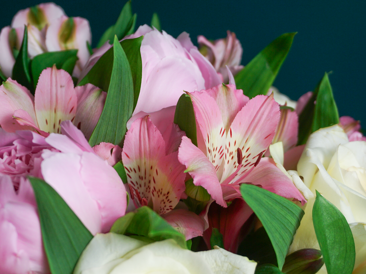 Bouquet of flowers | 70 |