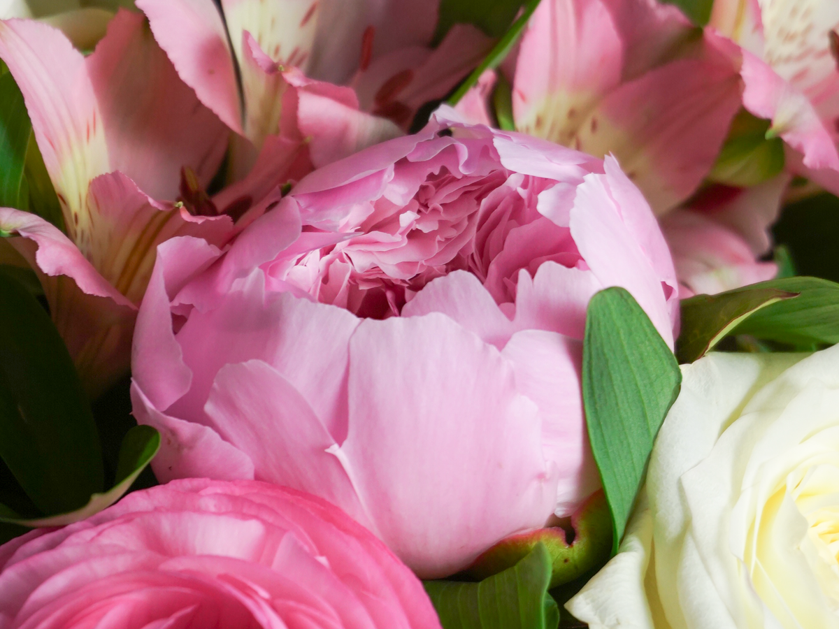 Bouquet of flowers | 70 |
