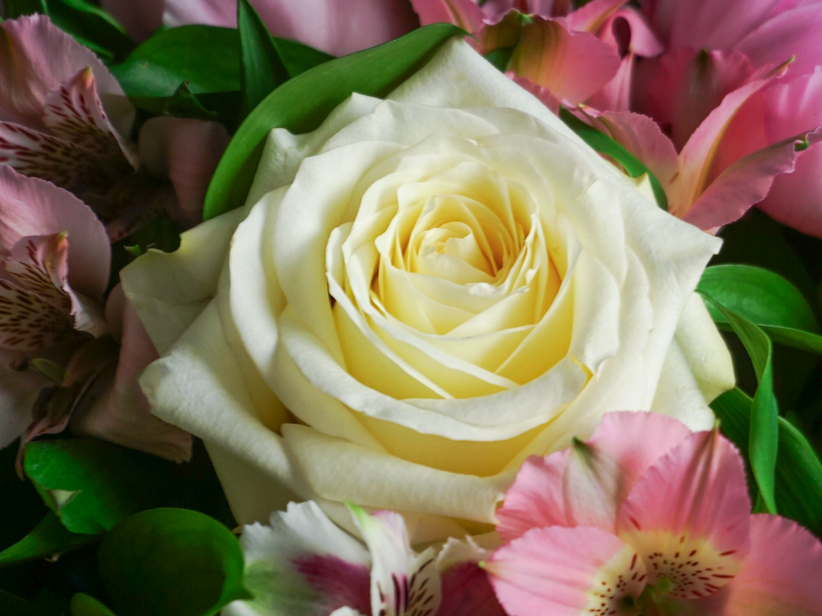 Bouquet of flowers | 70 |