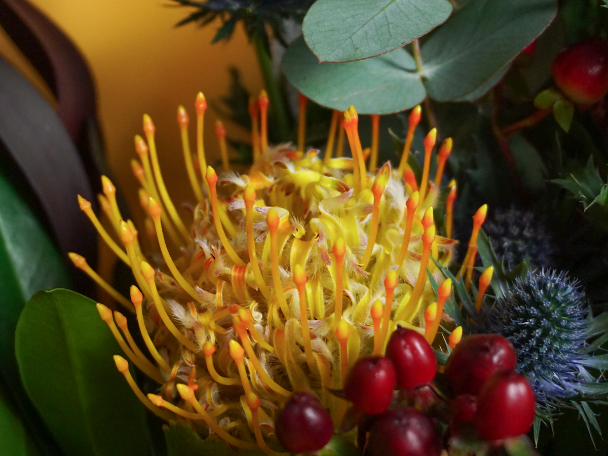 Bouquet of flowers | 71 |