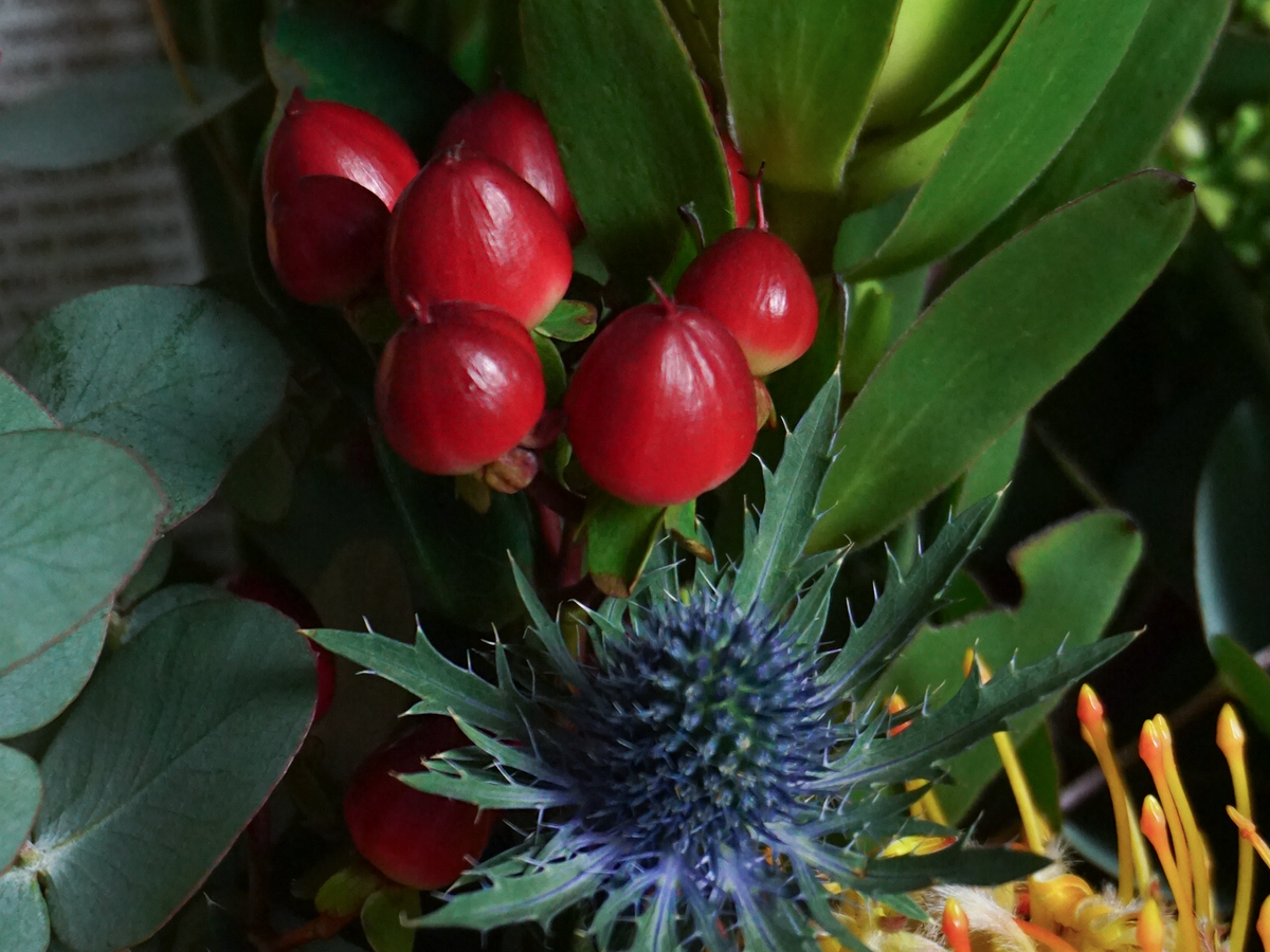 Bouquet of flowers | 71 |