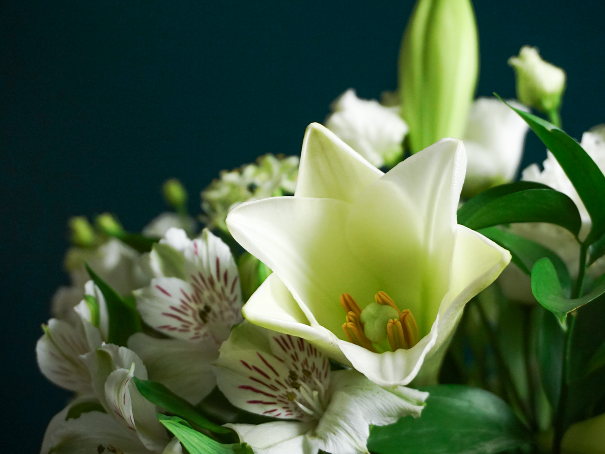 Bouquet of flowers | 74 |