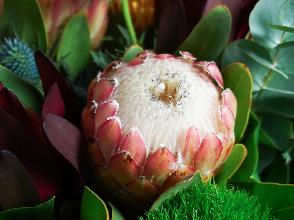 Bouquet of flowers | 76 |