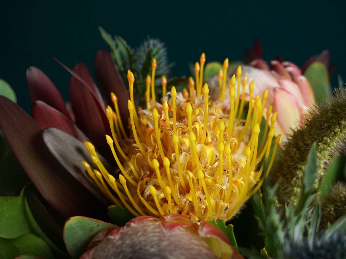 Bouquet of flowers | 76 |