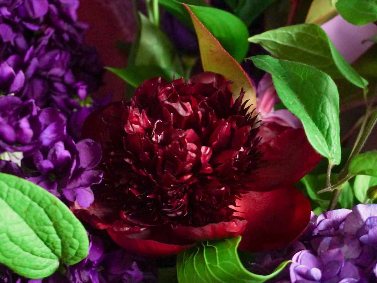 Bouquet of flowers | 77 |