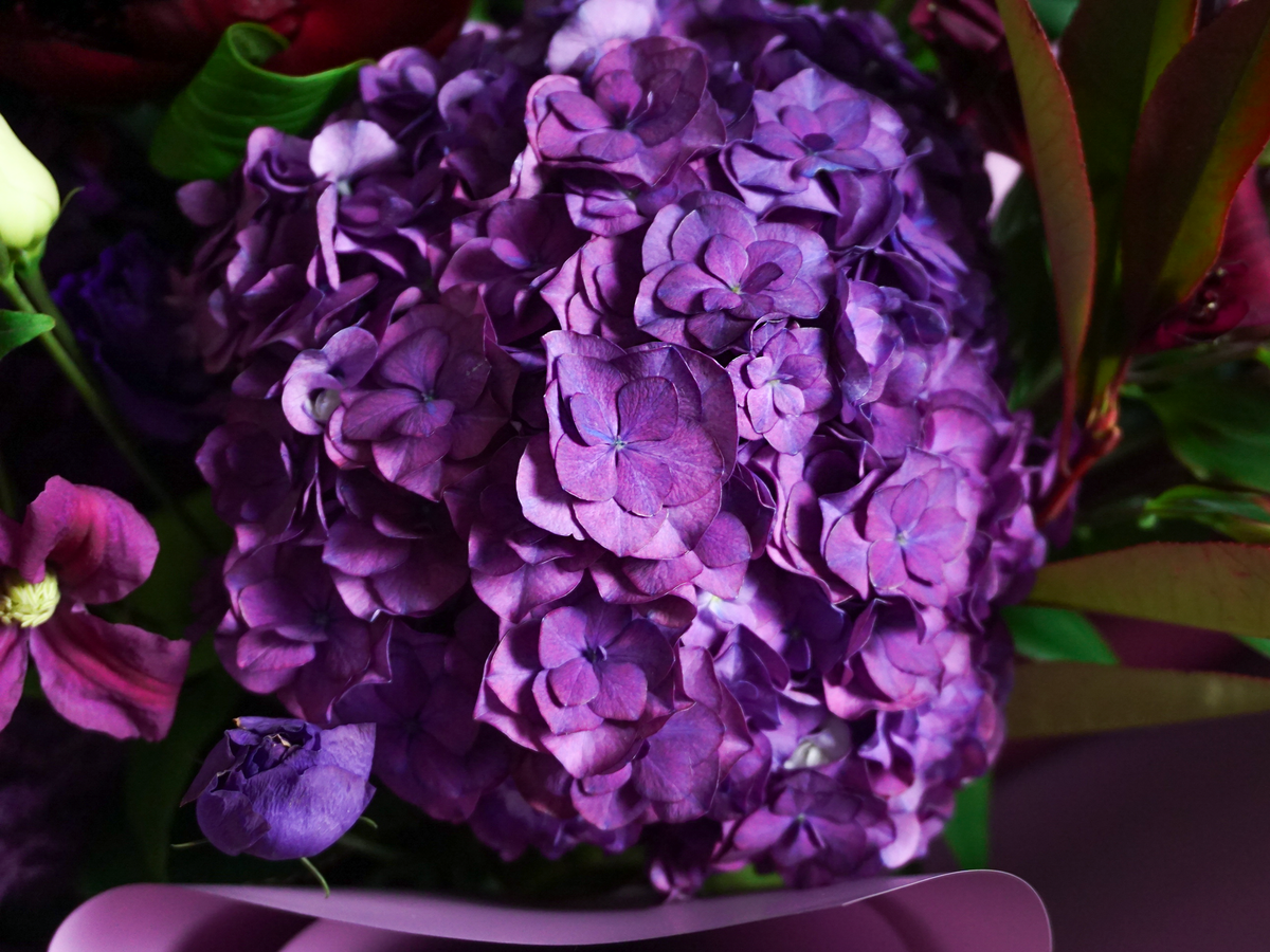Bouquet of flowers | 77 |