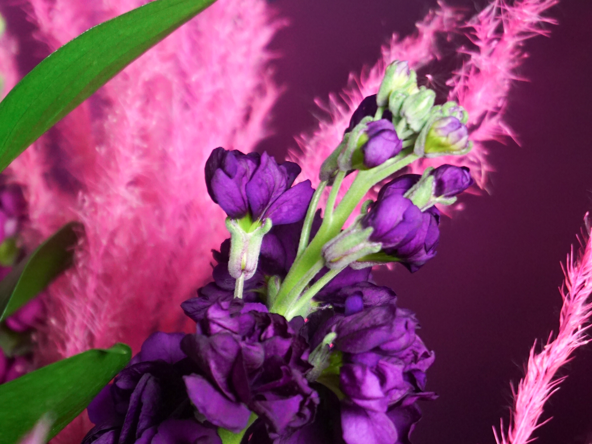 Bouquet of flowers | 77 |