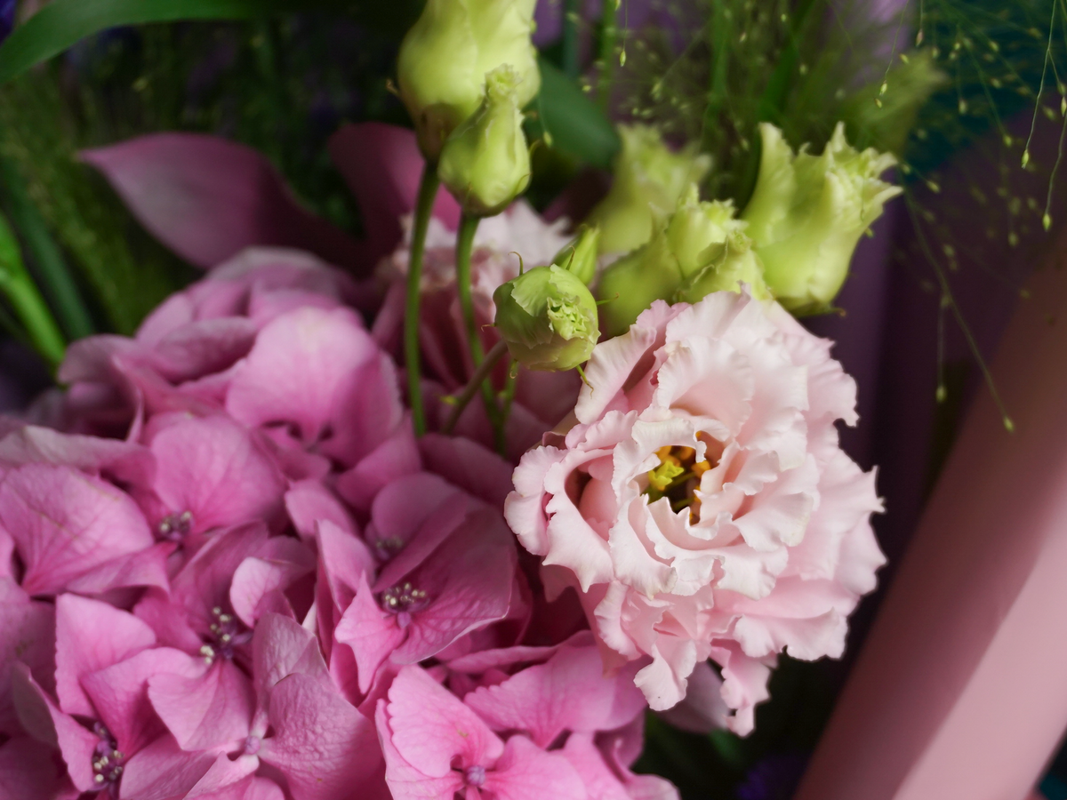 Bouquet of flowers | 78 |