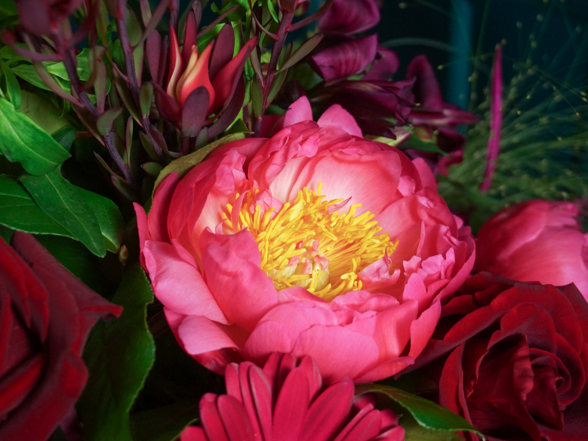 Bouquet of flowers | 79 |