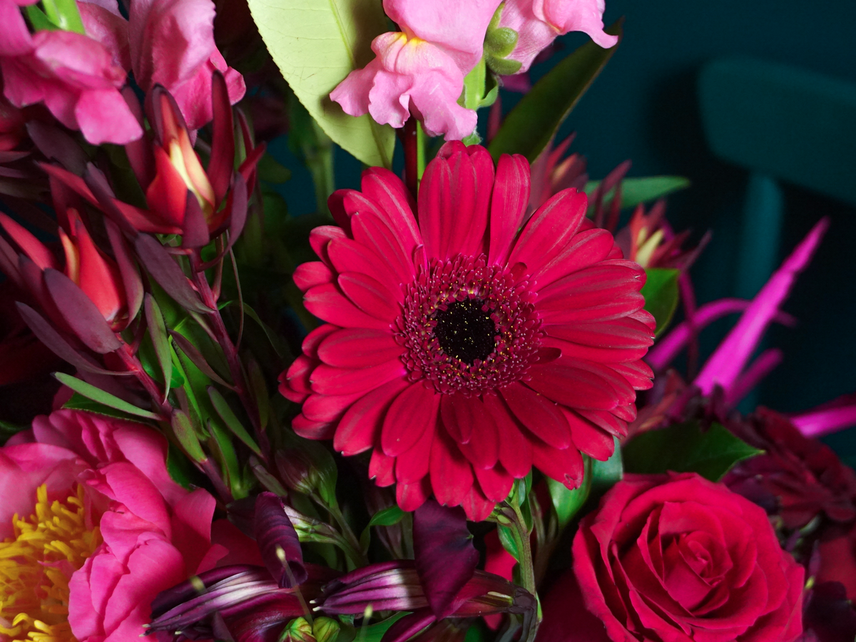 Bouquet of flowers | 79 |