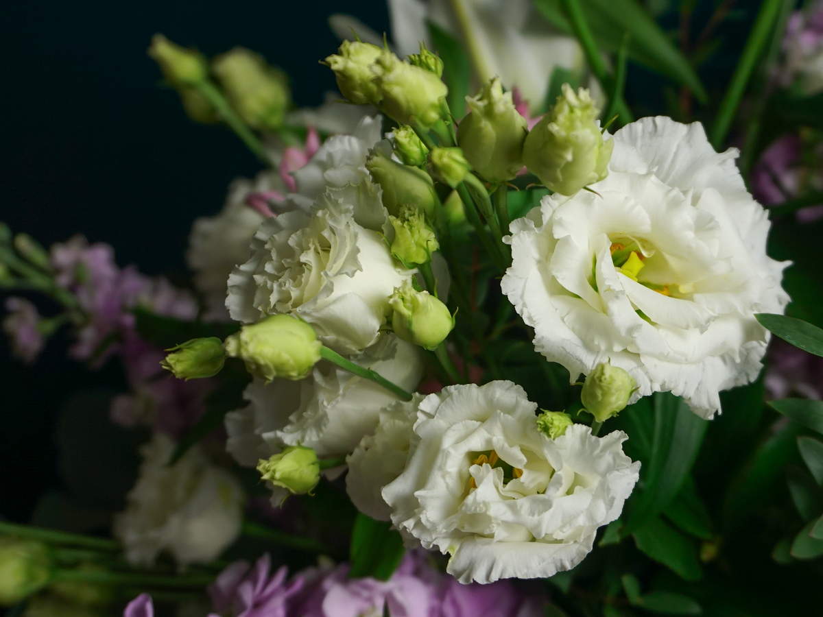 Bouquet of flowers | 80 |