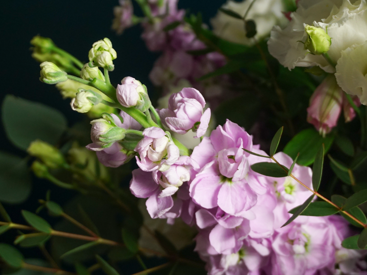 Bouquet of flowers | 80 |