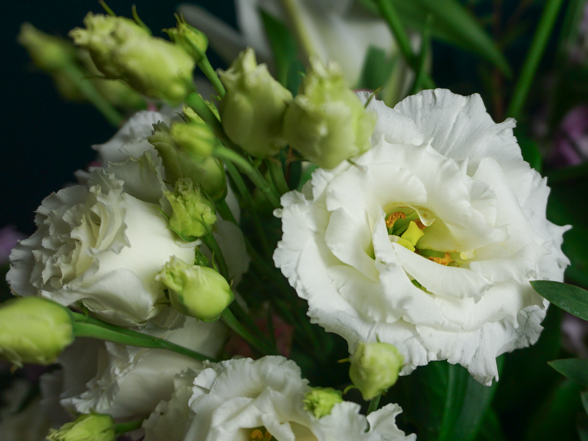 Bouquet of flowers | 80 |