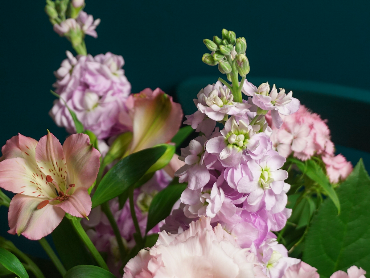 Bouquet of flowers | 81 |