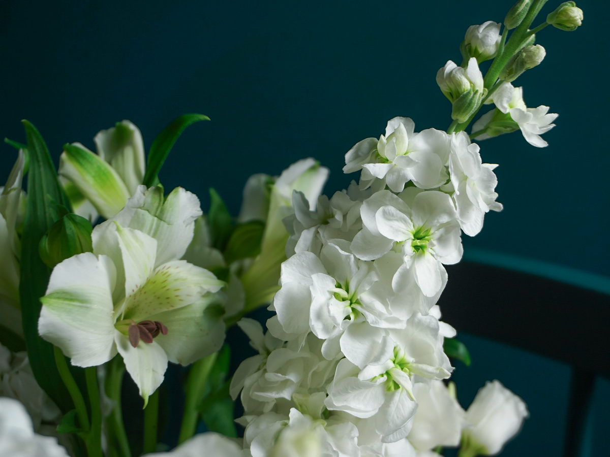 Bouquet of flowers | 81 |
