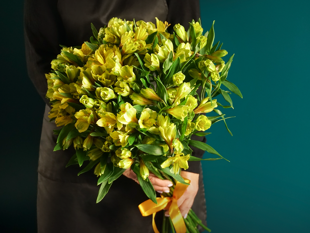 Alstroemeria bouquet / + variants /