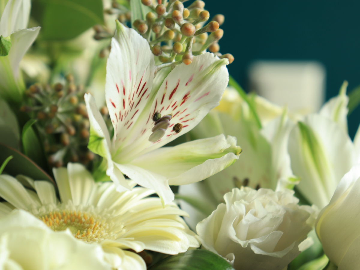 Bouquet of seasonal flowers | 01 | + variants |