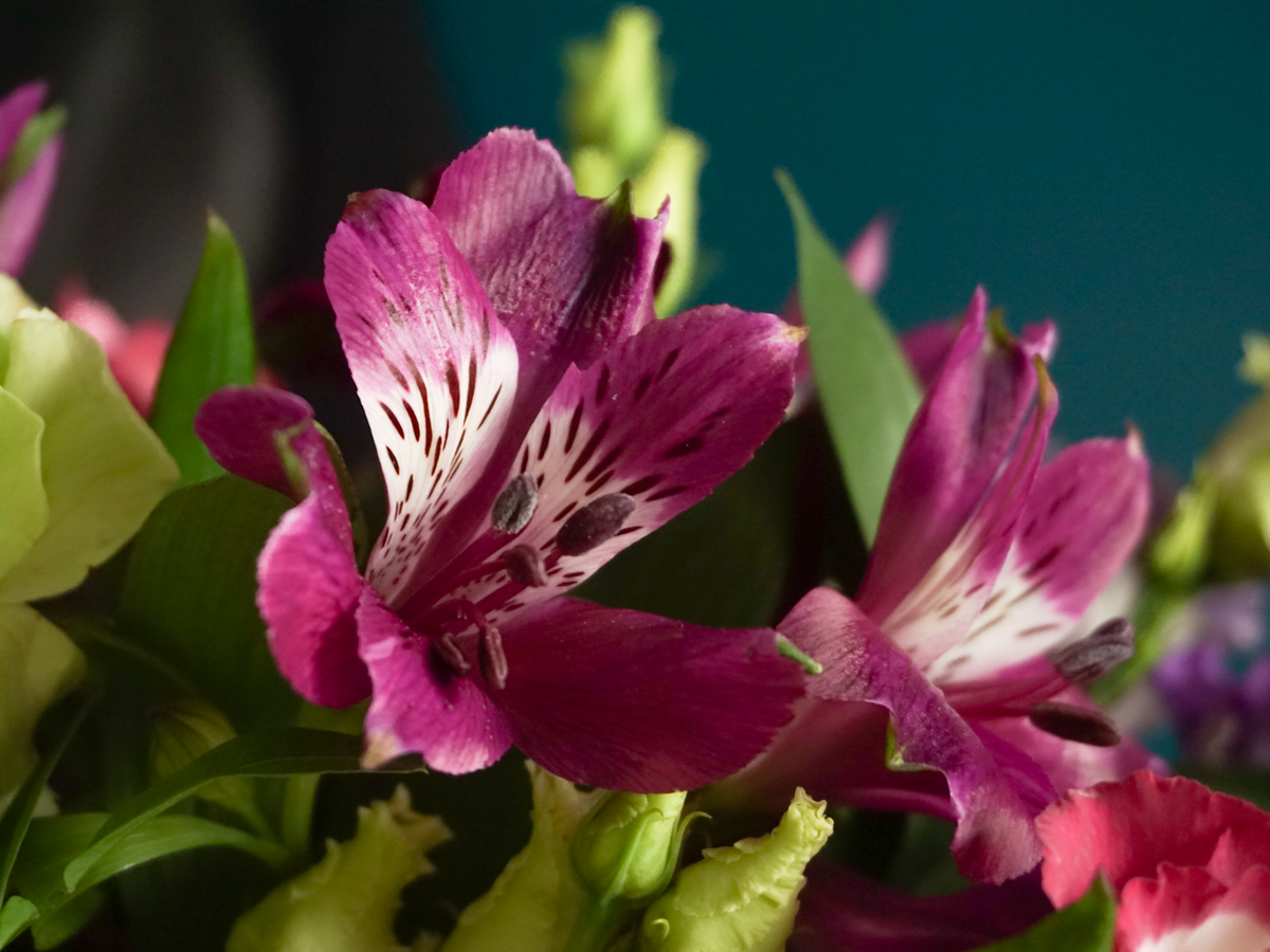 Bouquet of seasonal flowers | 01 | pink