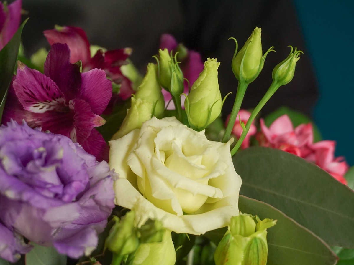 Bouquet of seasonal flowers | 01 | pink