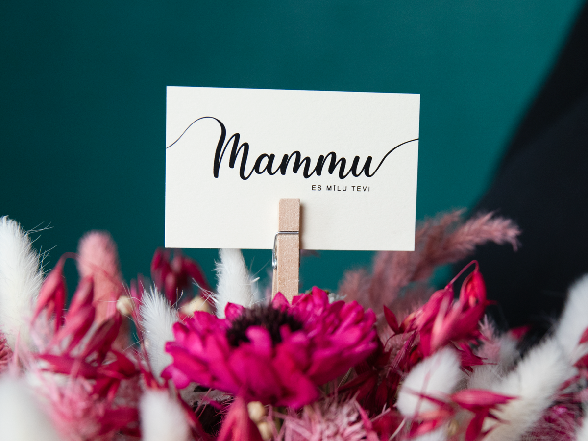 Mini kartīte | mammu | + varianti |