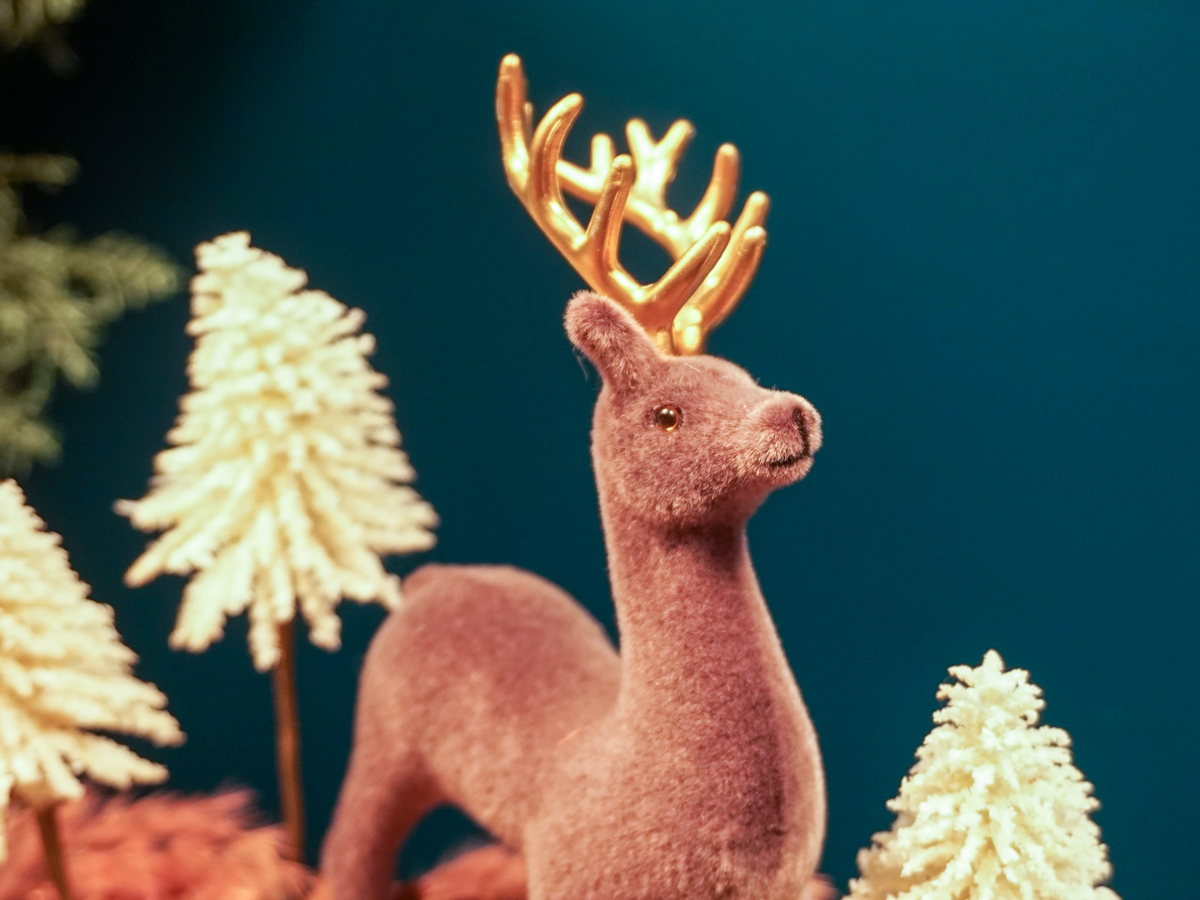 Adventes vainags / 25 - 3 /