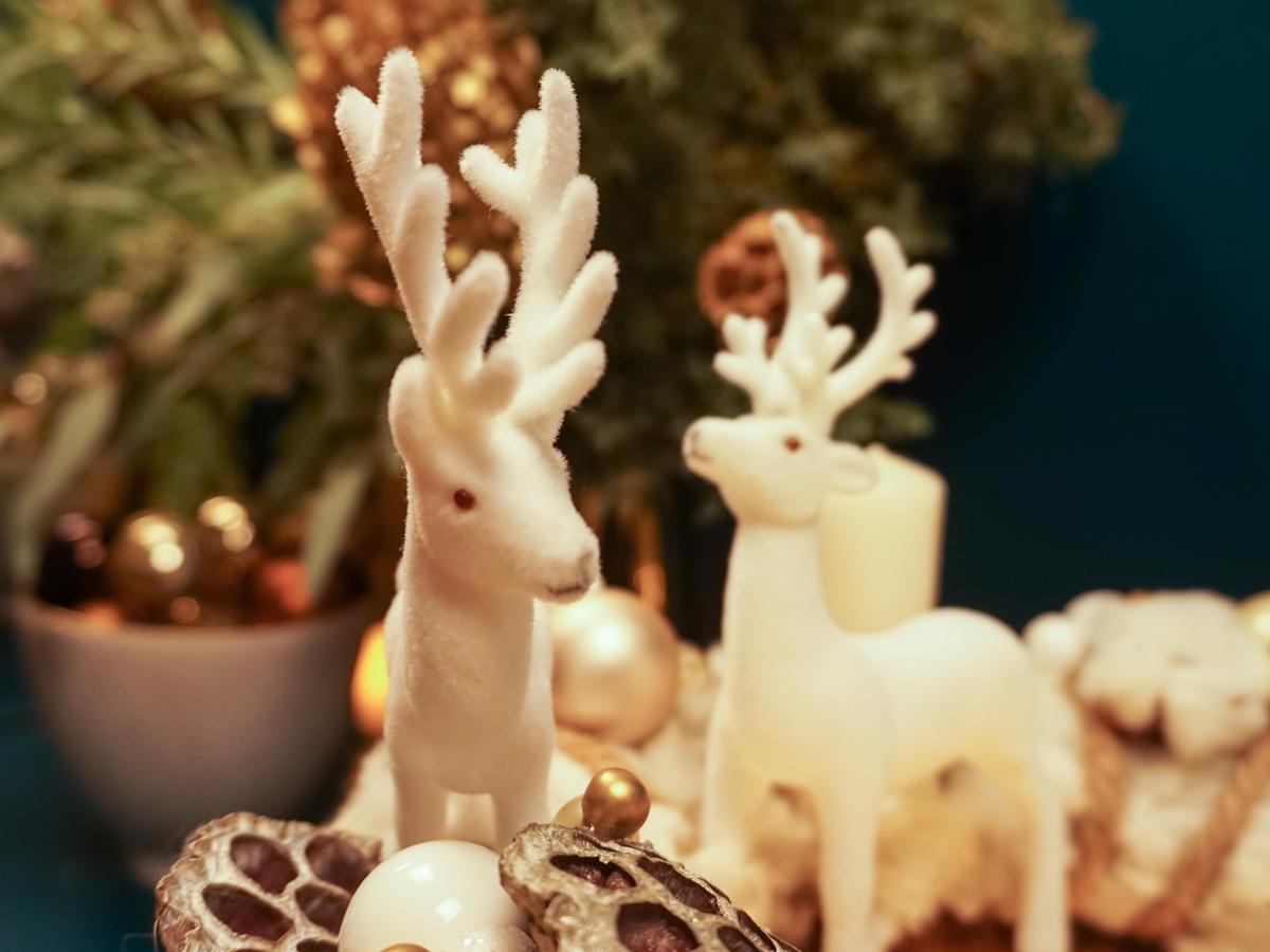 Adventes vainags / 25 - 5 /