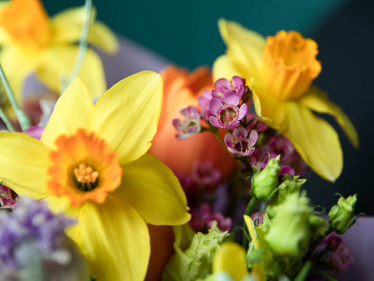 Bouquet of spring flowers 12 |