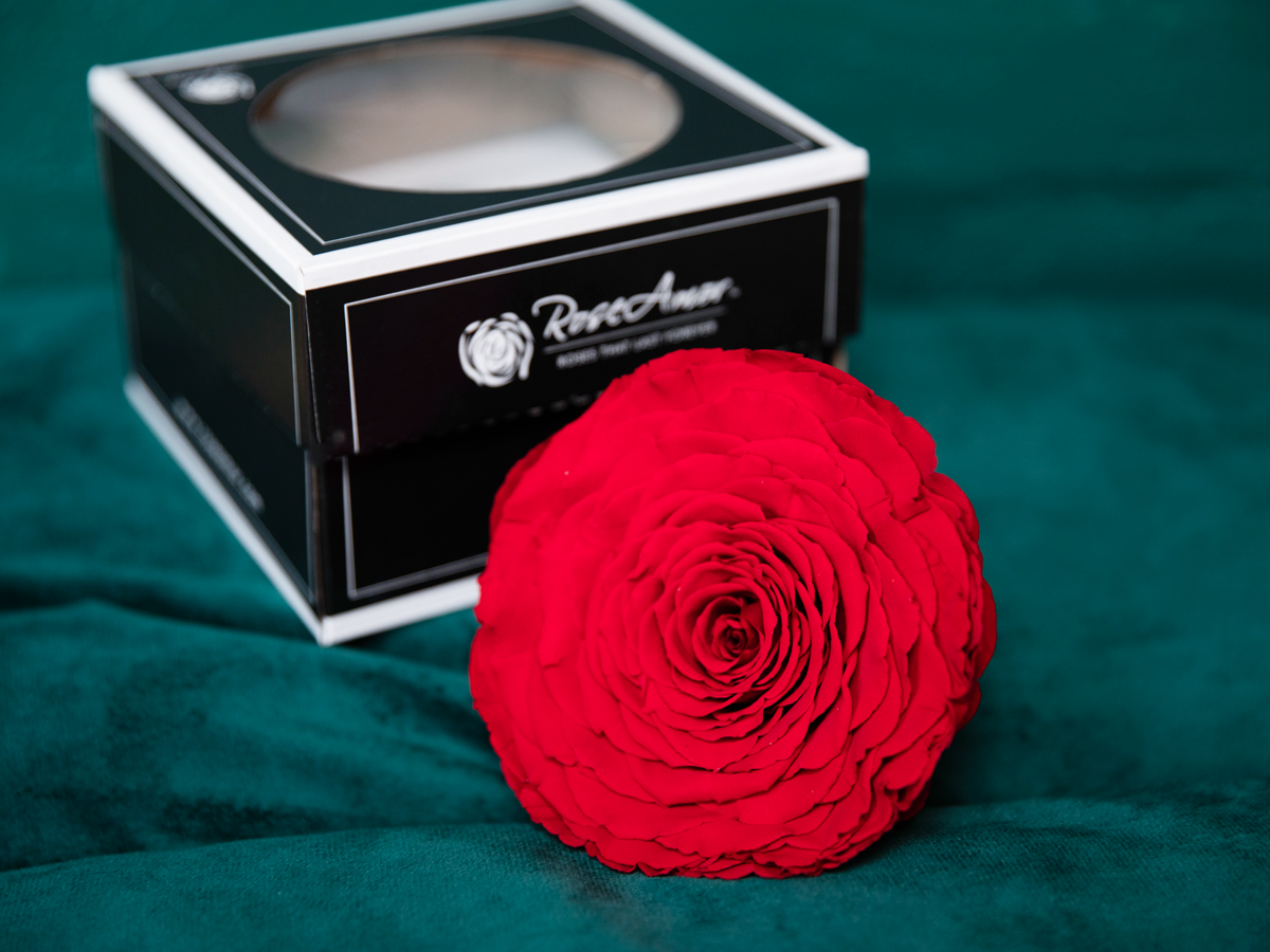 Roze kastē | 03 | last forever |