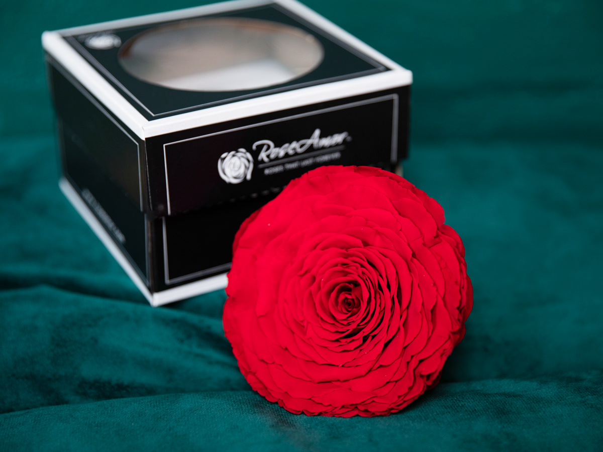 A rose in a box | 03 | last forever |