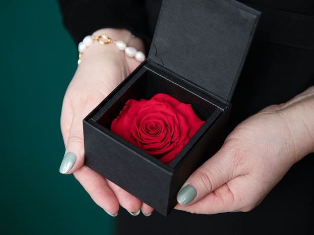 A rose in a box | 01 | last forever |