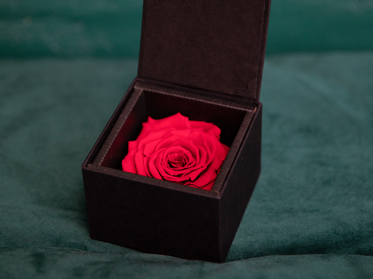 A rose in a box | 02 | last forever |