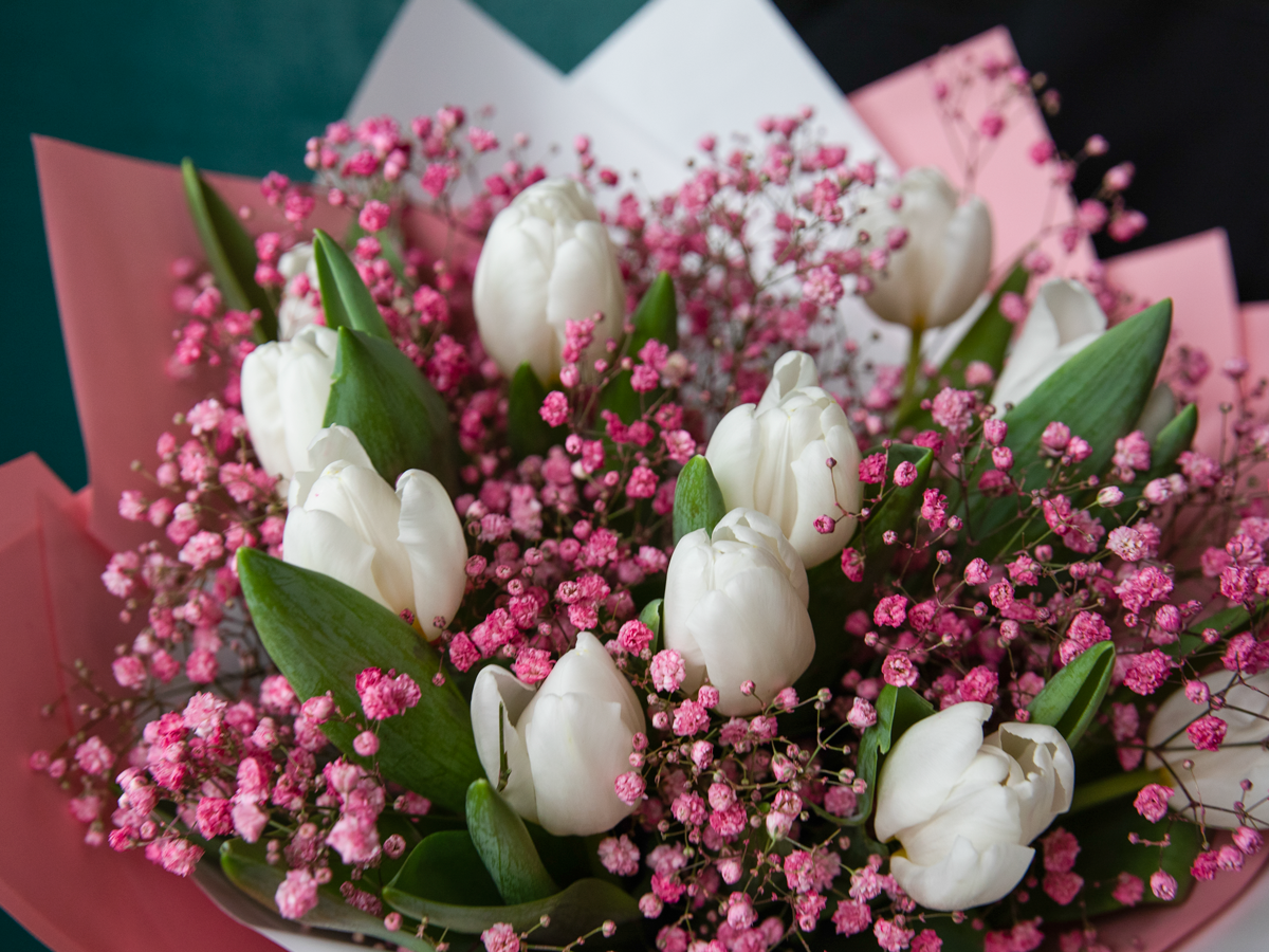 Bouquet of tulips 08 |