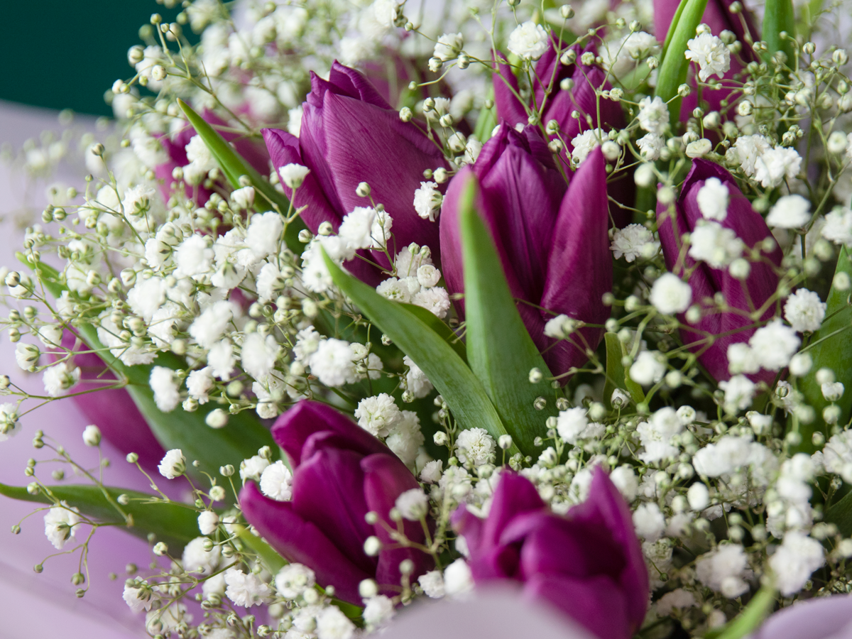 Bouquet of tulips 10 |