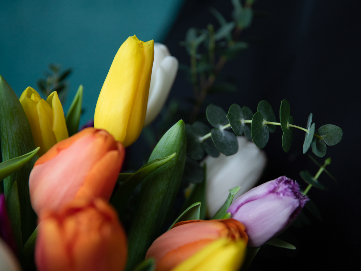 Bouquet of tulips 12 |