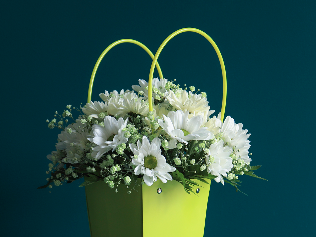 Flowers in a bag | 05 |