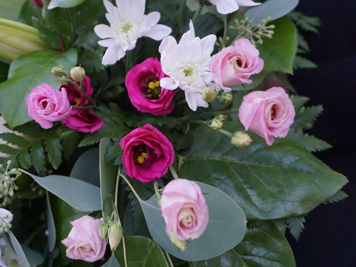 Funeral arrangement / 15 /