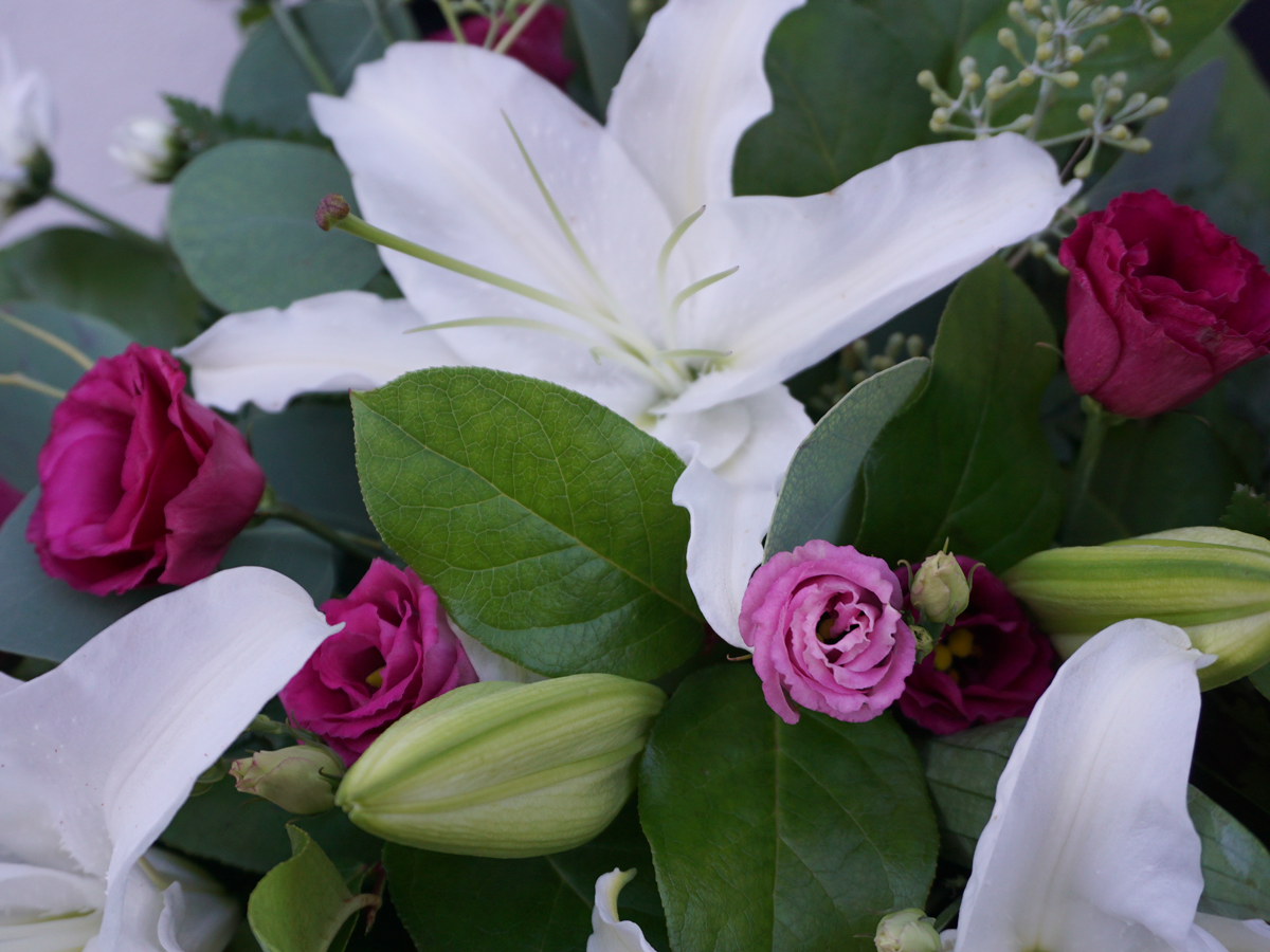 Funeral arrangement / 15 /