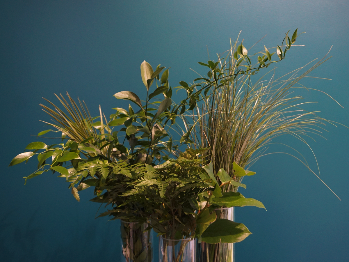 Eikalipti | Eucalyptus | + citi zaļumi
