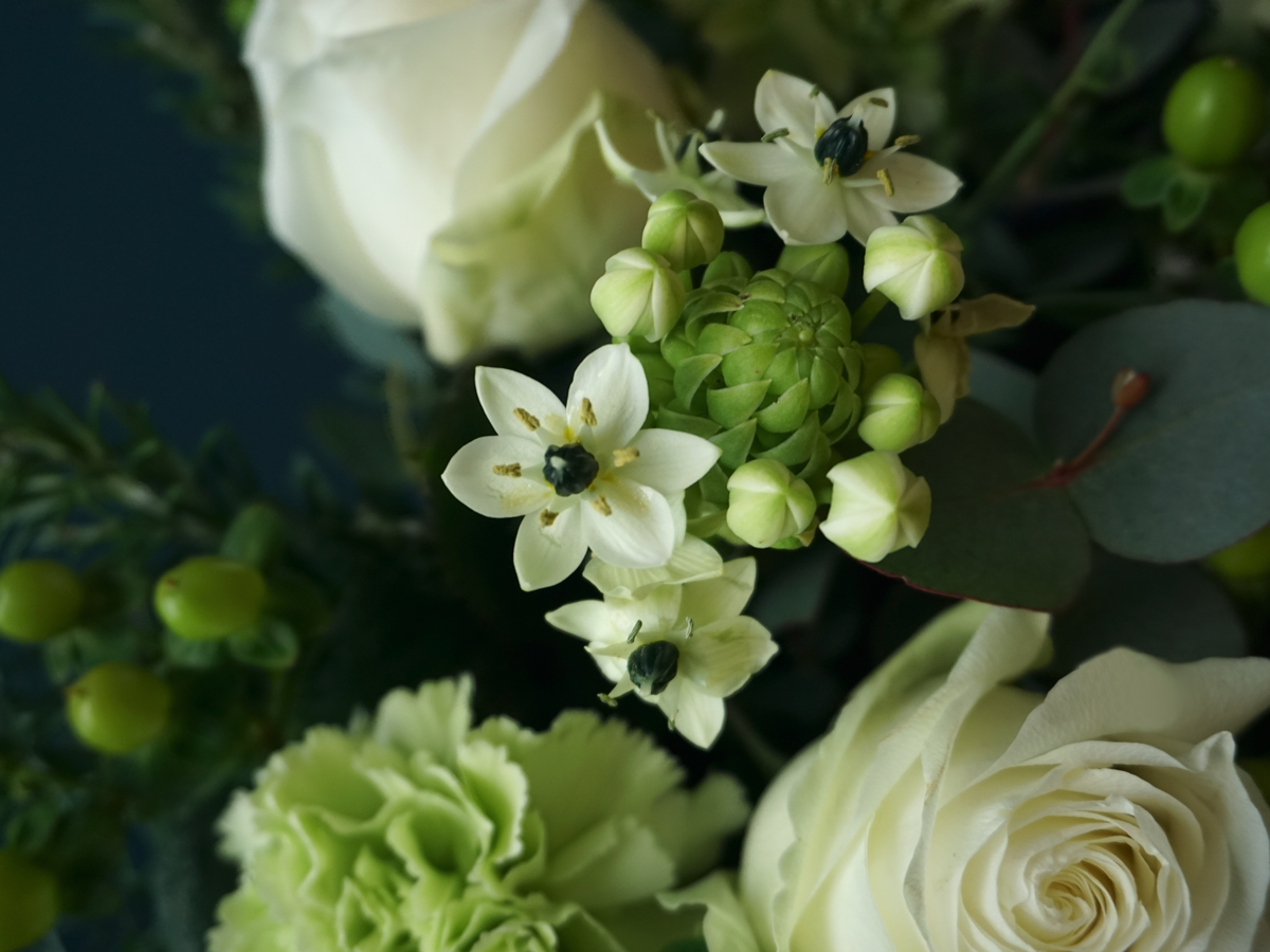 Bouquet of different flowers 41 |