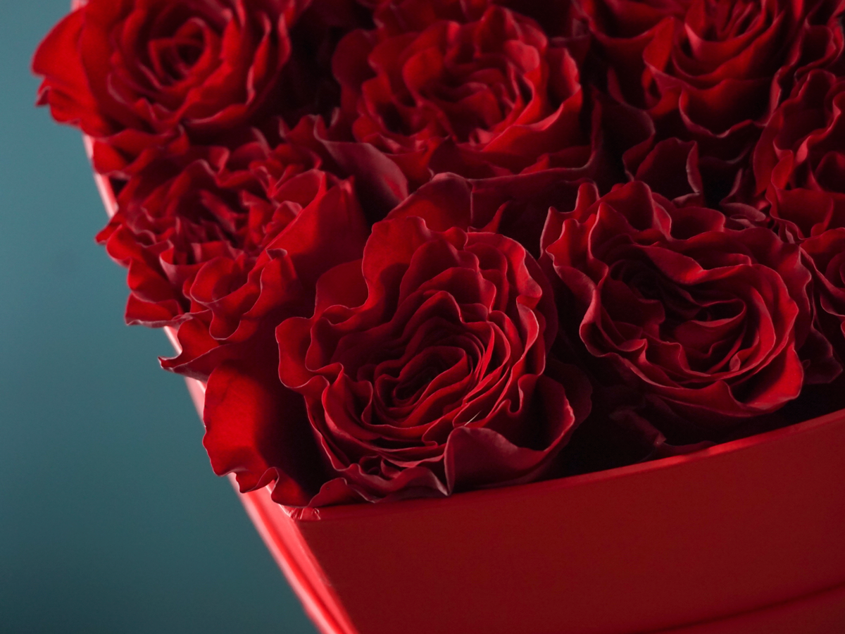 Roses in a box 03 |