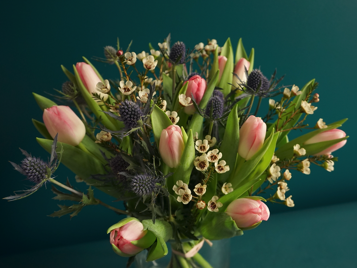 Bouquet of tulips 06 |