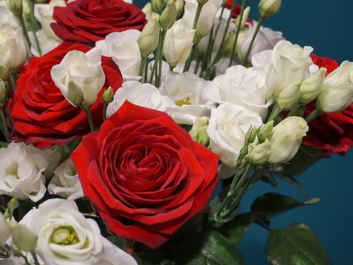 Bouquet of roses 06 |