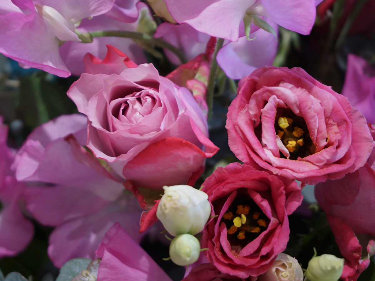 Bouquet of different flowers 16 |