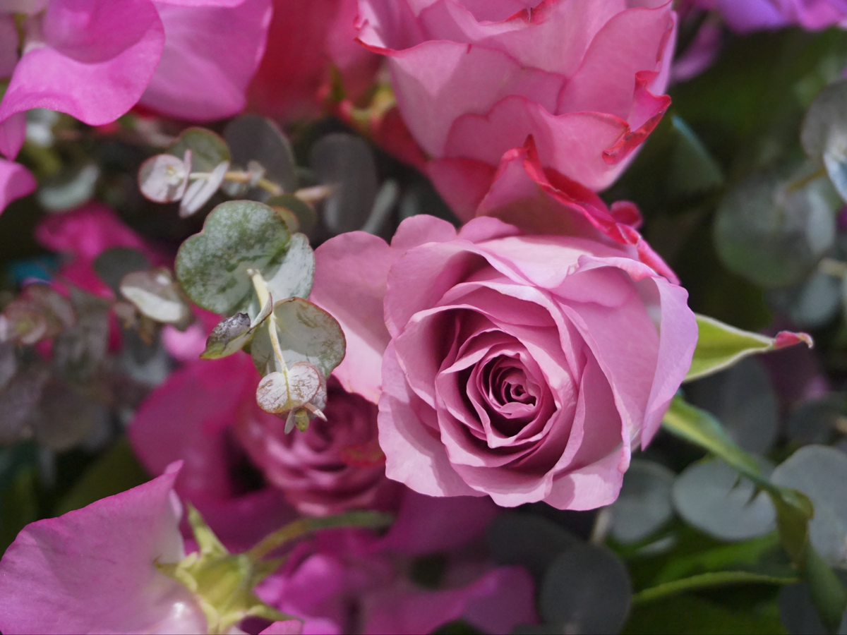 Bouquet of different flowers 16 |