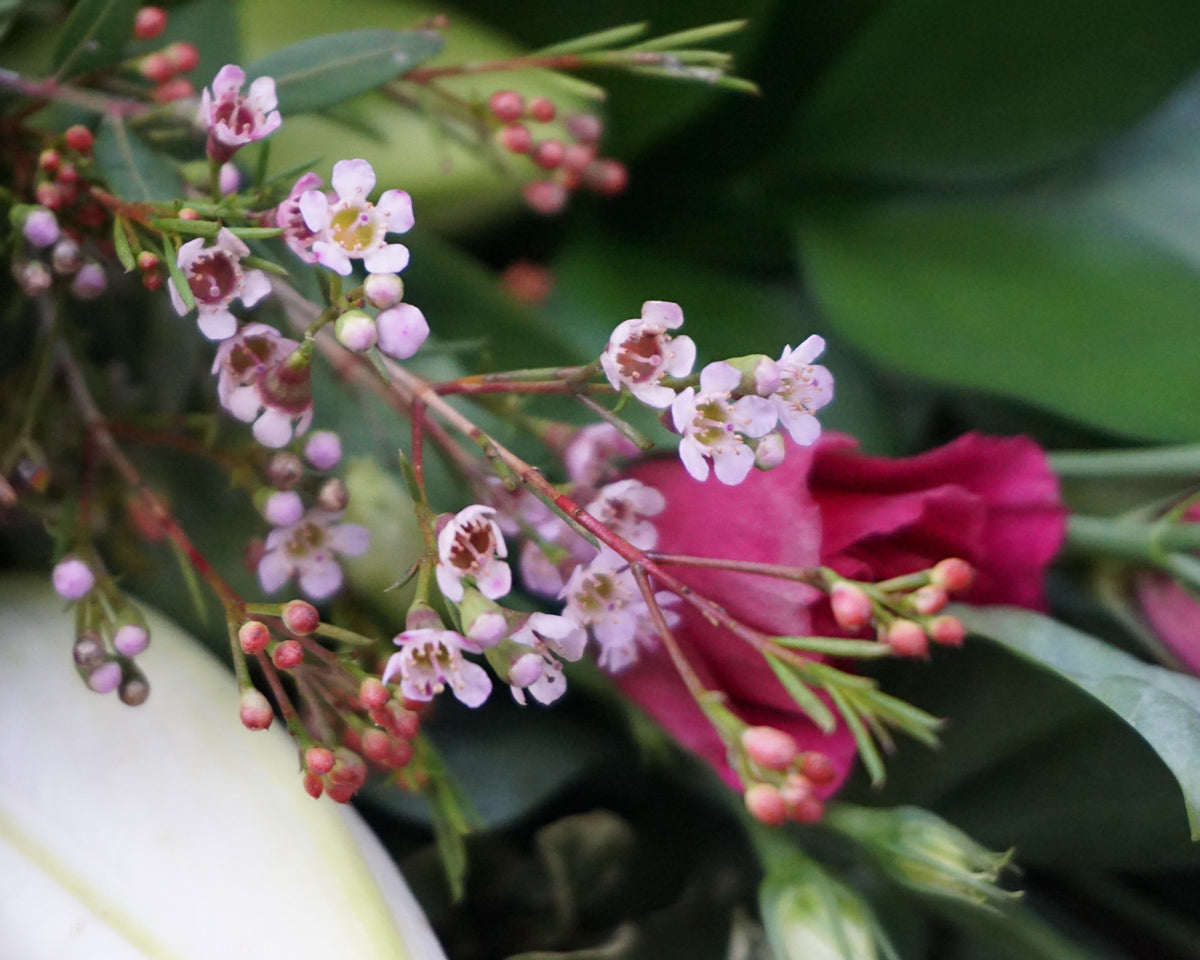 Funeral bouquet / 03 /