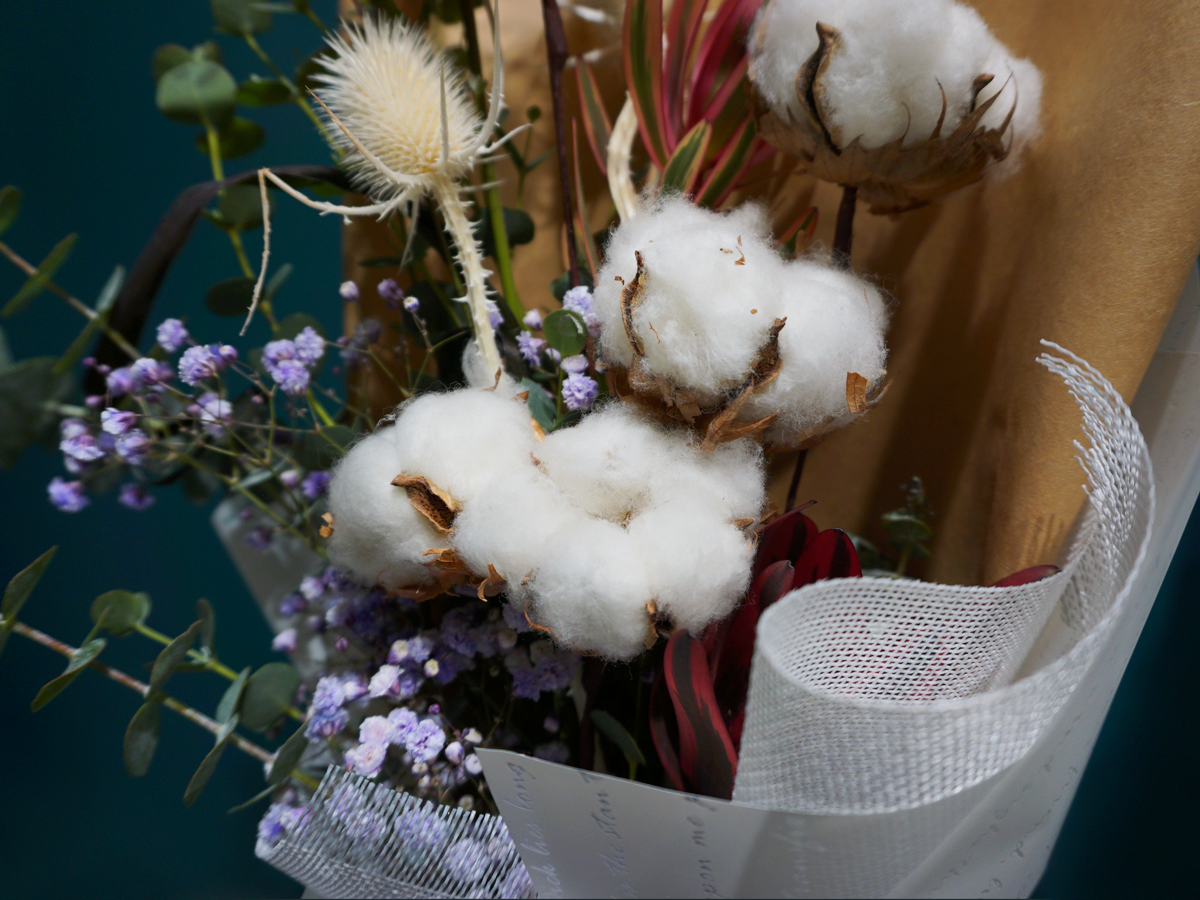 Bouquet of cotton flowers 03 |