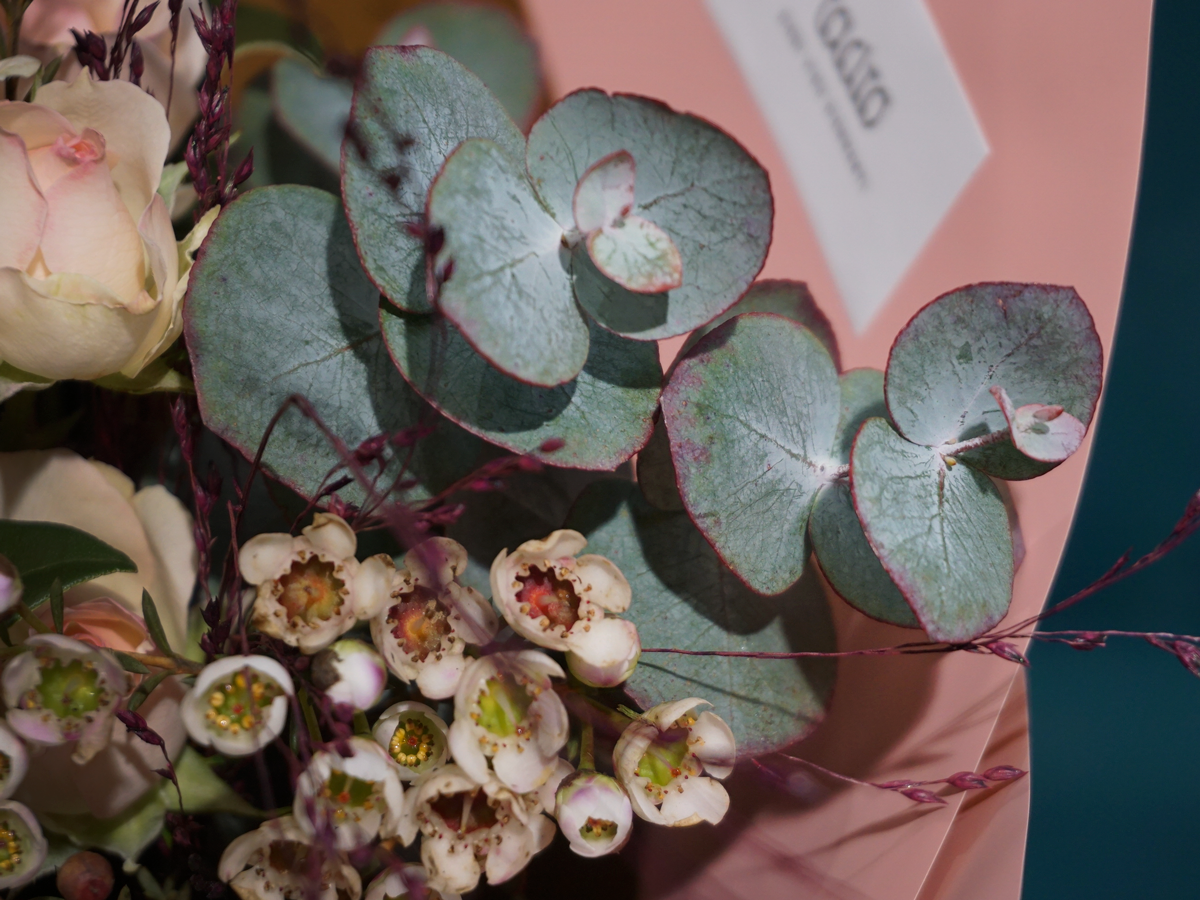 Bouquet of different flowers 37 |