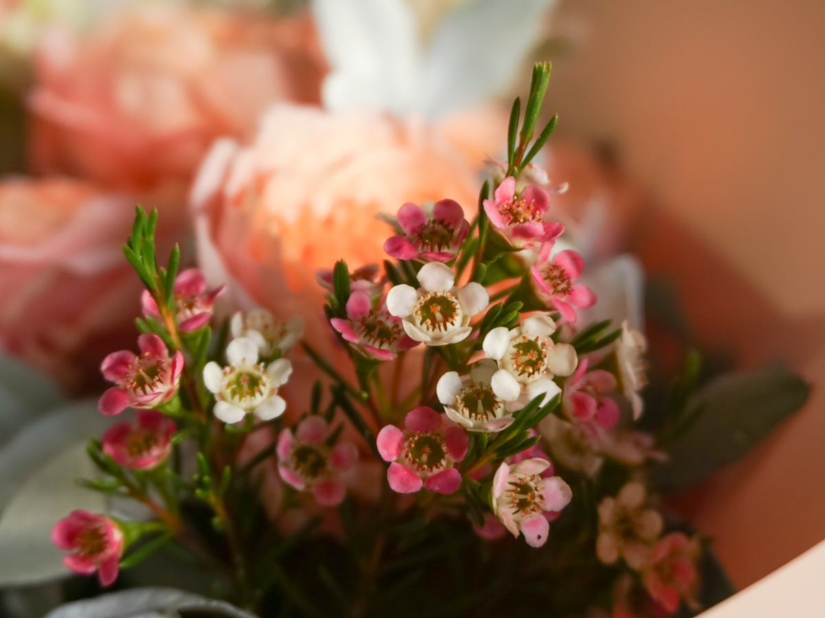Bouquet of different flowers 46 |